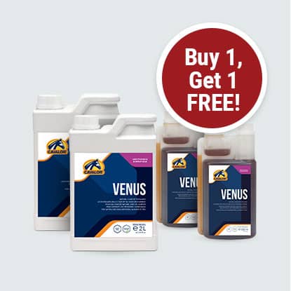 Venus for horses, buy one get one free at Farmvet.com.